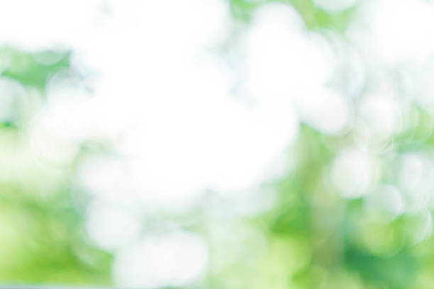 istock Natural Spring or summer Green and Blue background with abstract 185427776