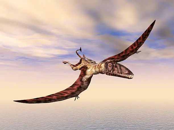 Computer generated 3D illustration with the Pterosaur Dimorphodon
