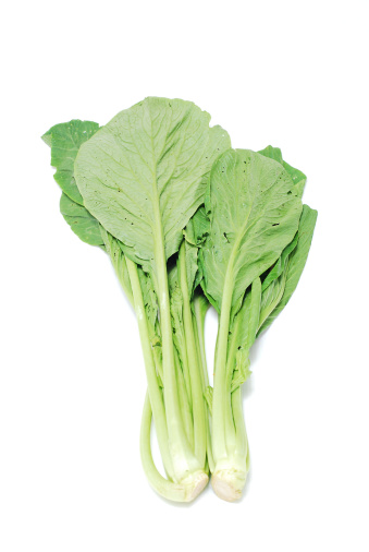 chinese lettuce on white background