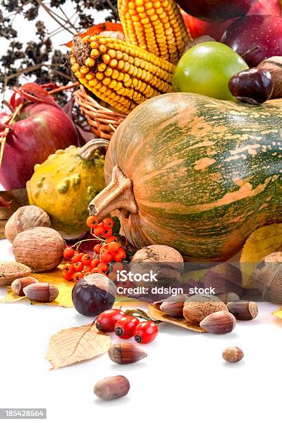 Autumn Fruits Stock Photo - Download Image Now - Apple - Fruit, Arrangement, Autumn