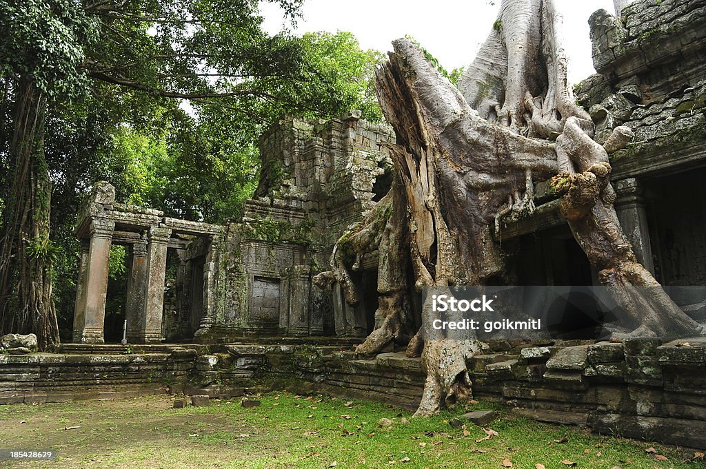 Angkor Templo Preah Khan de Angkor Thom no Camboja - Royalty-free Angkor Foto de stock