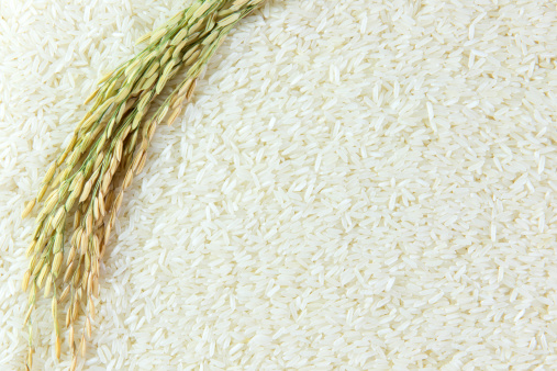 Close-up image of paddy and rice grain
