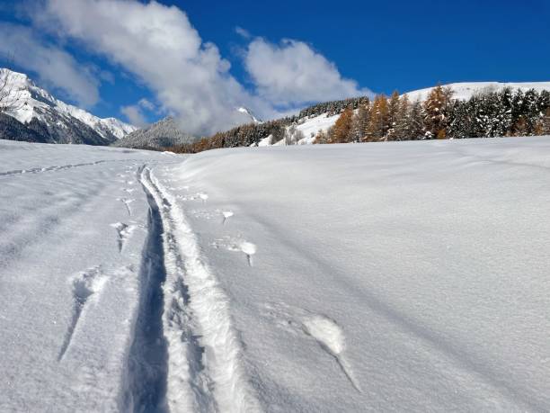 istock ski touring tracks in fresh snow going in snowy hill and forest under blue sky 1854309048