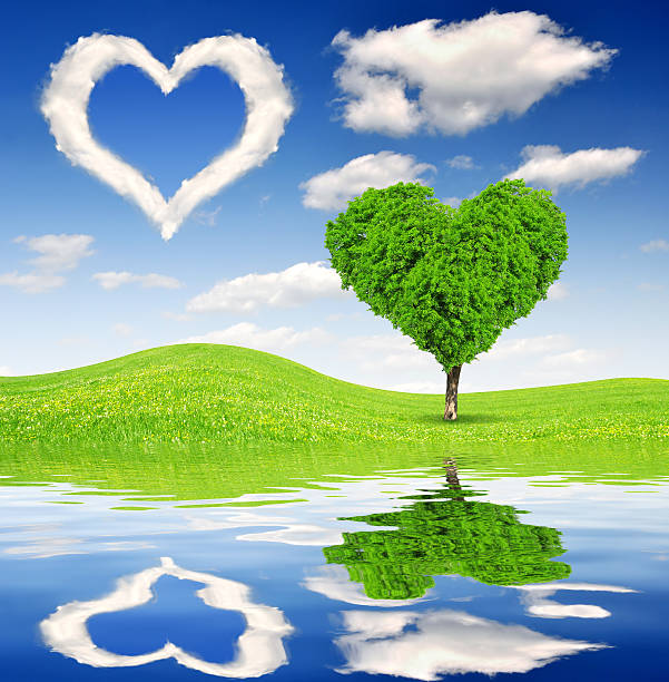 istock tree in the shape of heart 185431202