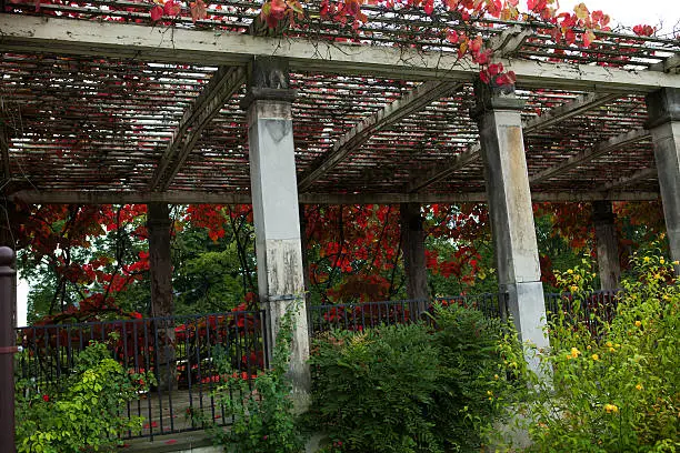 Pergola at the gate of the palace gardens