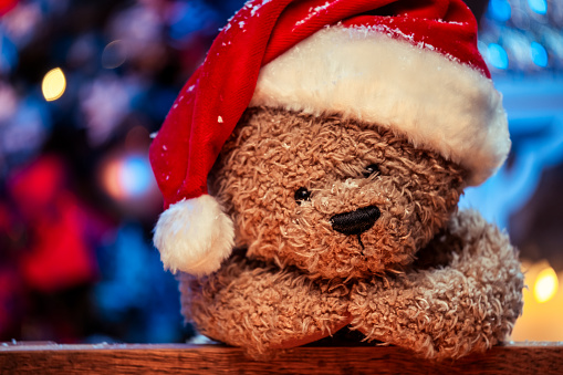 Teddy bear wearing Santa hat
