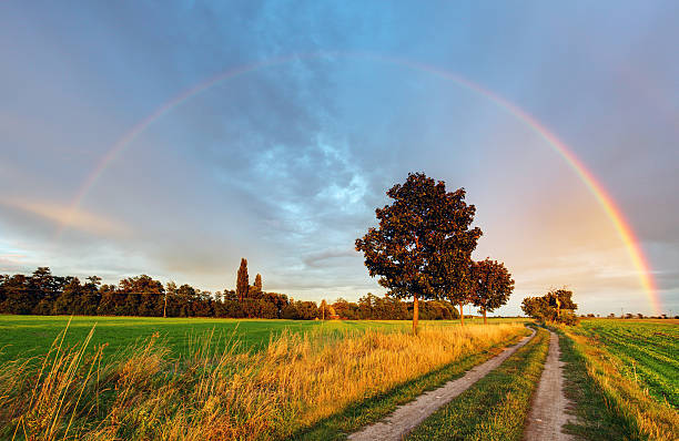 arco iris sobre field road - meadow single lane road nature field fotografías e imágenes de stock