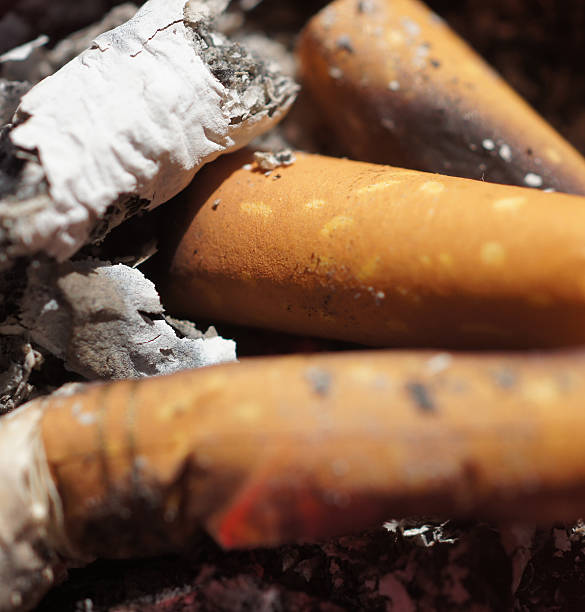 istock Close up shots of cigarette ashes 185434404