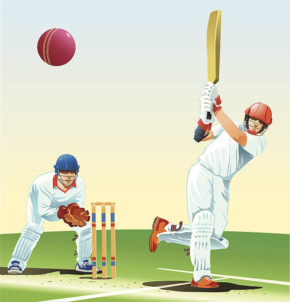 Game of Cricket Images are placed on separate layers. Background easy to remove if needed. test cricket stock illustrations