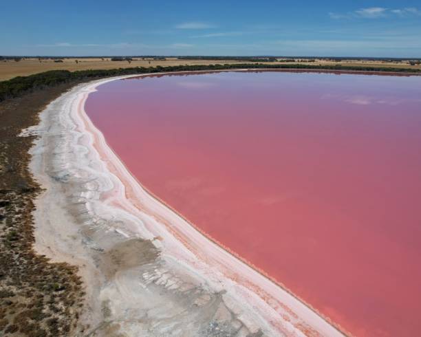 istock Pink Lake in Dimboola Victoria Australia 1854355512