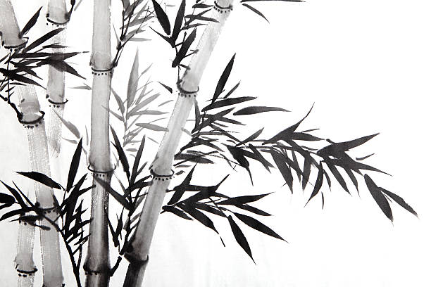 a black and white photo of bamboo with leaves attached - ryan in a 幅插畫檔、美工圖案、卡通及圖標