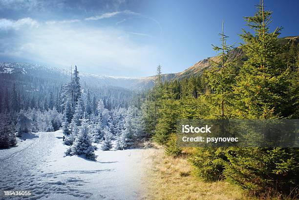 Due Stagioni In Montagne - Fotografie stock e altre immagini di Abete - Abete, Albero, Ambientazione esterna