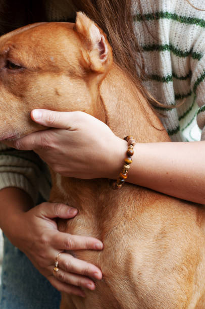 istock woman hugs her red pit bull dog 1854369938
