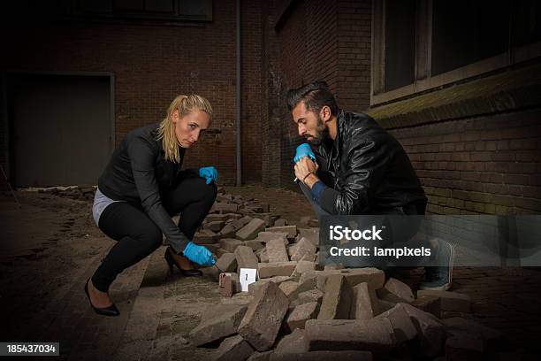 Dois Forensics Procurar Provas - Fotografias de stock e mais imagens de Cena do Crime - Cena do Crime, Experiência científica, Força policial