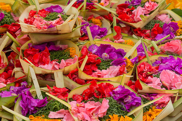 Traditional balinese offerings to gods in Bali with frangipani flowers