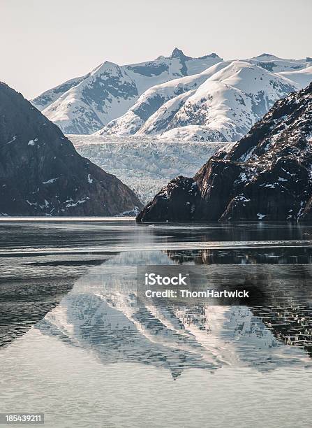 アラスカの氷河 - アラスカのストックフォトや画像を多数ご用意 - アラスカ, ソーヤー氷河, トレーシー アーム