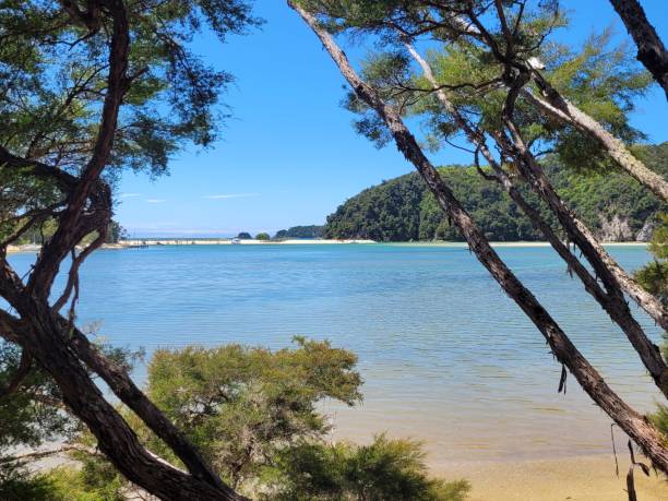 zatoka torrent, park narodowy abel tasman, nowa zelandia - abel tasman national park zdjęcia i obrazy z banku zdjęć