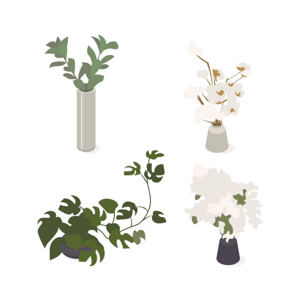 Collection of isometric low poly plants and flowers in various vases. Modern vector illustration. Collection of isometric low poly plants and flowers in various vases. low flower arrangements drawings stock illustrations