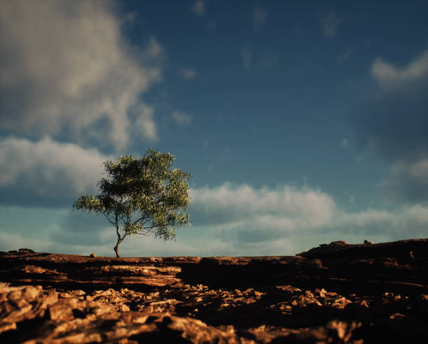 istock Solitary tree on sandstone cliff under sky with some clouds. 1854459142