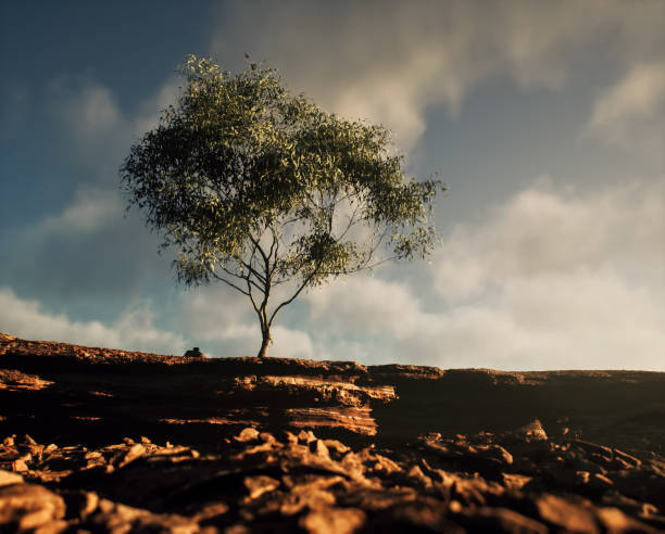 istock Solitary tree on sandstone cliff under sky with clouds. 1854459474