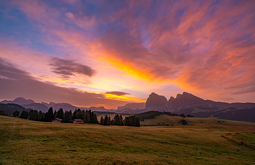 Alpe di Siusi (Seiser Alm), Europe's largest high-alpine pasture, in South Tyrol, Italy. Amid Dolomites, it offers a captivating landscape, rolling green waves in summer