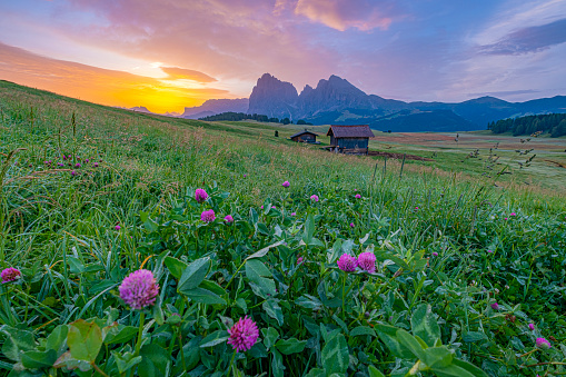 Alpe di Siusi (Seiser Alm), Europe's largest high-alpine pasture in South Tyrol, Italy. A captivating landscape unfolds