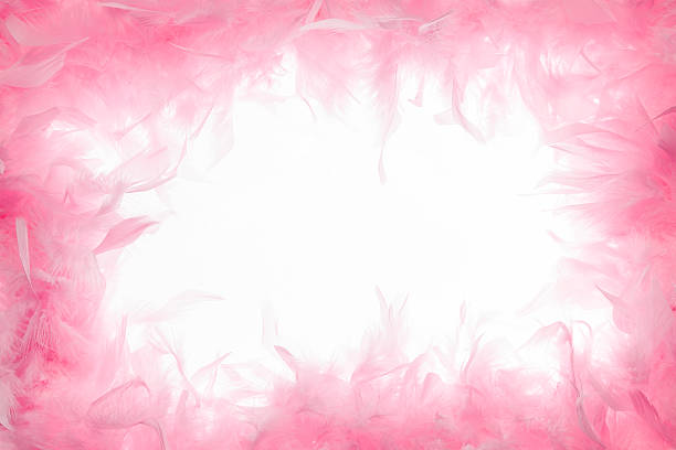 Pink Boa Frame stock photo