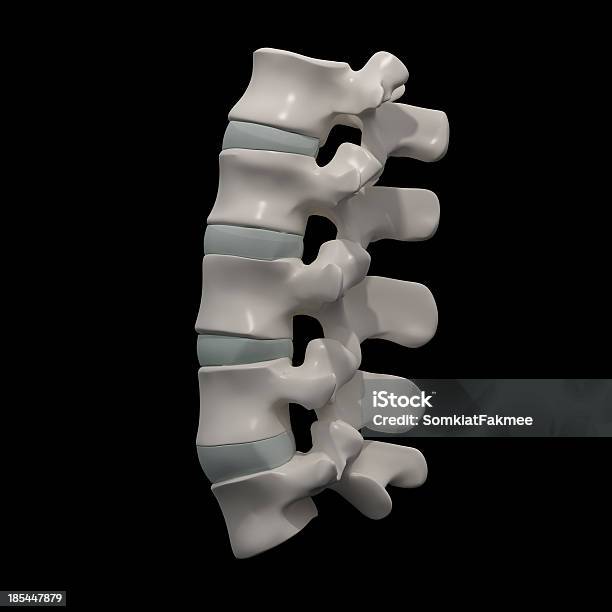 Supporto Lombare Vista Laterale - Fotografie stock e altre immagini di Anatomia umana - Anatomia umana, Colonna architettonica, Dolore fisico