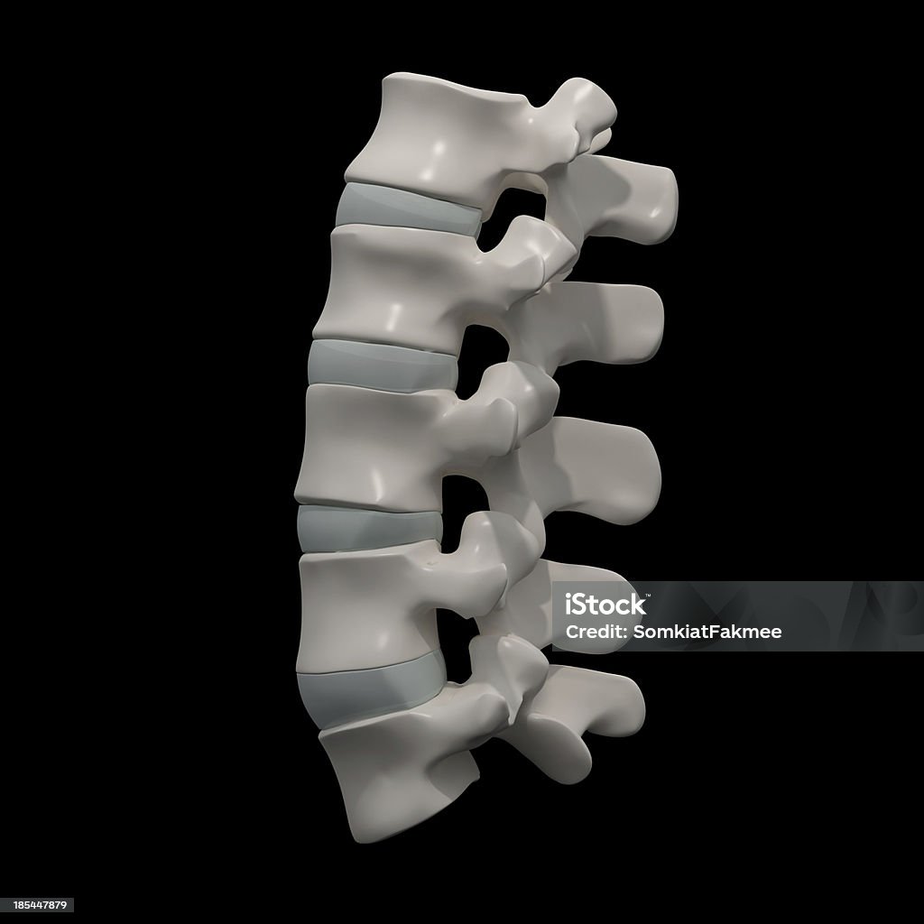 Vista lateral de Lombar - Royalty-free Anatomia Foto de stock