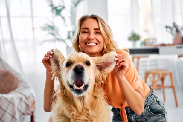 s’amuser avec les animaux. - dog human face retrieving labrador retriever photos et images de collection