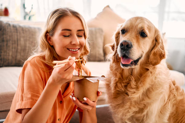 istock Cozy domestic moment. 1854489014