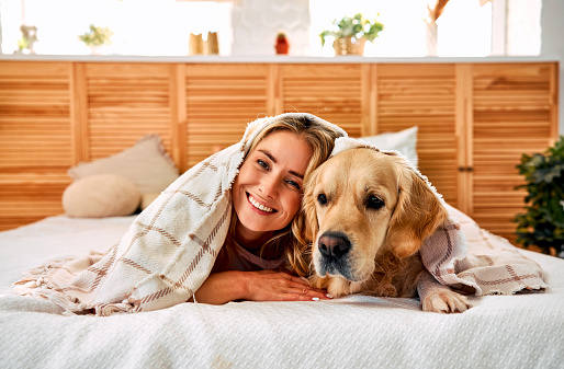 Smiling blonde woman resting with pedigree labrador under checkered blanket on bed. Common time spending bringing happiness to female owner and adult dog.