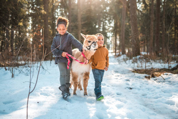 istock Playful Day, Siblings Having Fun in the Snow 1854498580