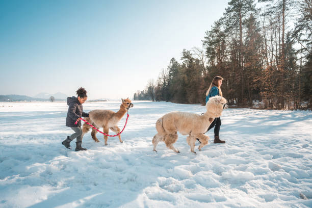 istock Unexpected Family Outing in the Snow 1854499114