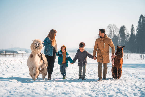 istock Snowy Adventure for a Mixed Race Family 1854499127