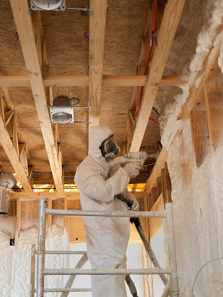 istock Close up of a worker blowing insulation 185450148