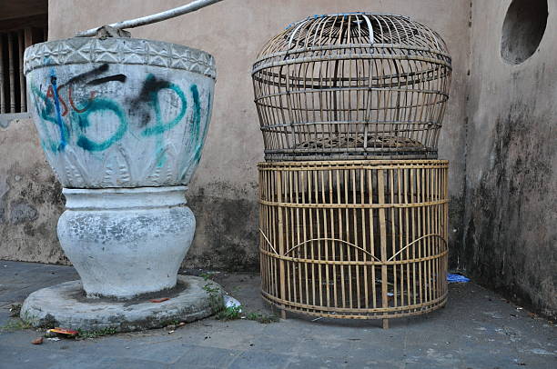 istock chicken cage and flower vase 185450401