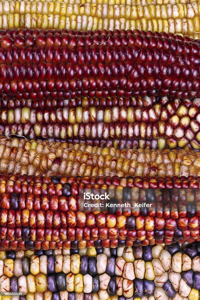Невероятные Индийские Кукурузный - Стоковые фото Маис роялти-фри
