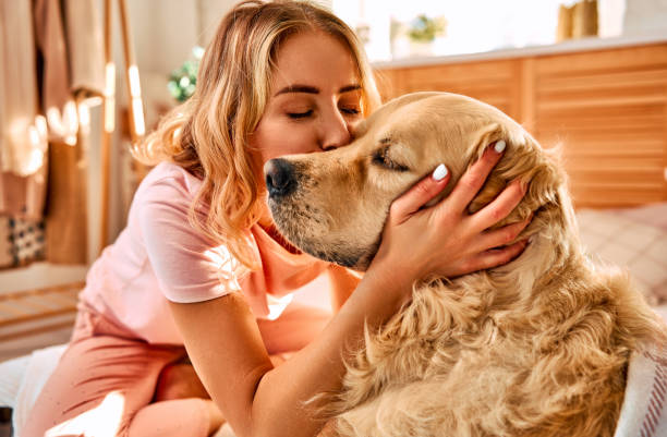 istock Cozy domestic moment. 1854512956