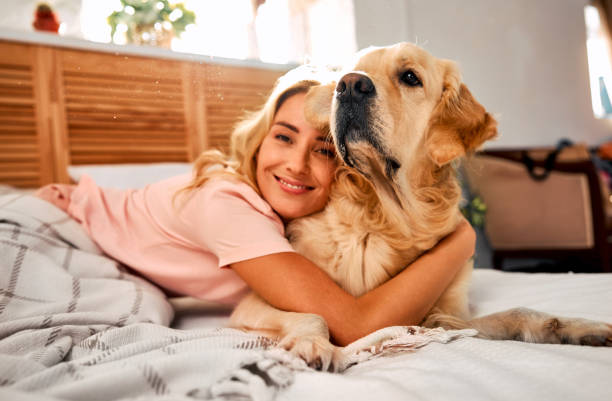 istock Love to animal. 1854512957