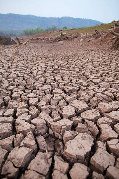 istock Dry and cracked earth background 185452340