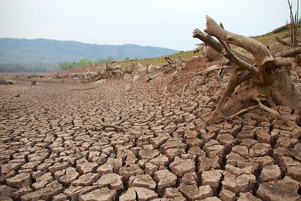 istock Land with dry and cracked ground. Desert 185452634