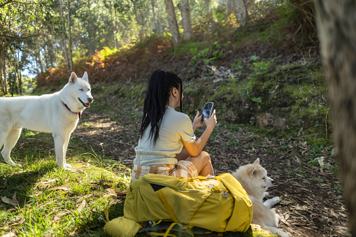 young female explorer rests next to her dogs to look at her mobile phone