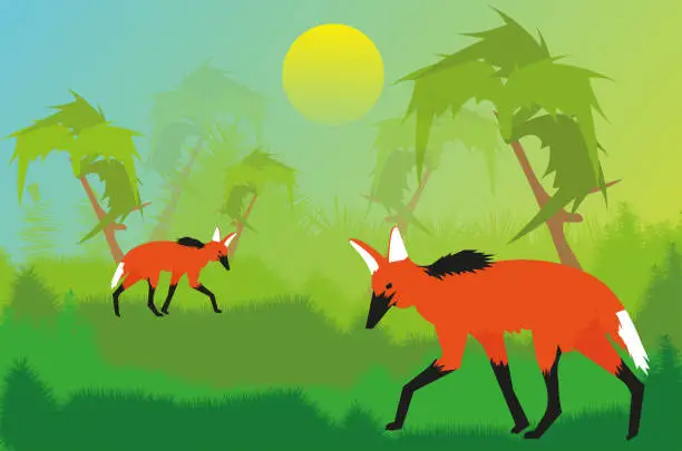 Vector illustration of Red wolves in the Verdant Wilderness