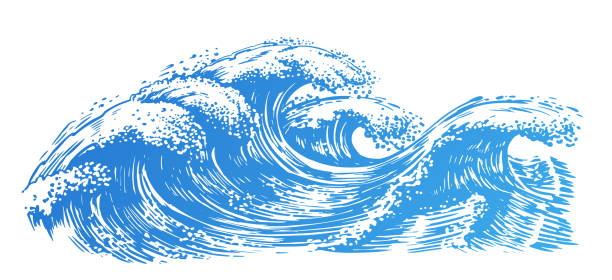 stockillustraties, clipart, cartoons en iconen met ocean and sea waves, sketch. surf wave, hand drawn vector illustration - branding