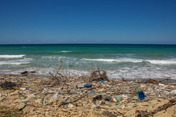 istock An Italian beach full of plastic pollution 1854587000