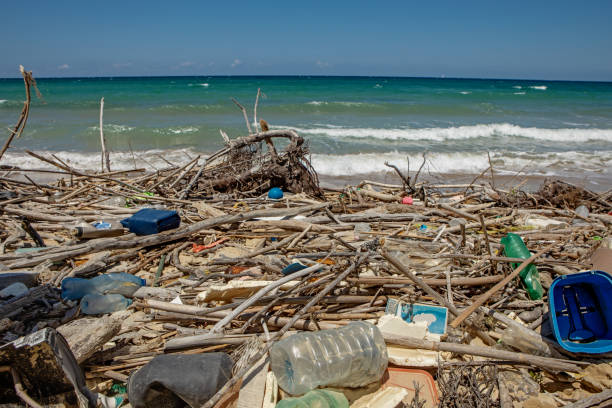 istock An Italian beach full of plastic pollution 1854587550