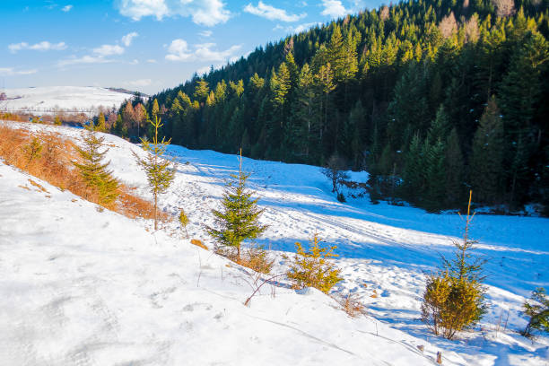 istock mountainous countryside landscape in winter 1854591471