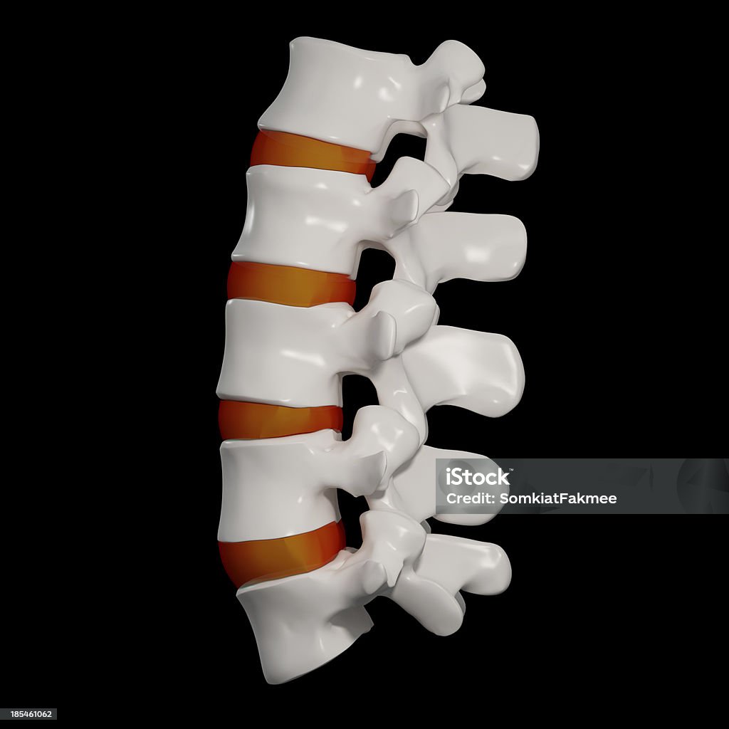 Colonna vertebrale struttura - Foto stock royalty-free di Anatomia umana