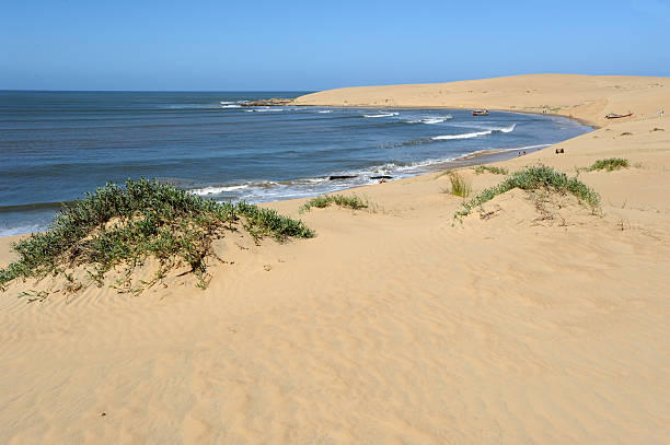 istock Sand dunes at Barra de Valizas 185461360